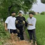 Punjab News