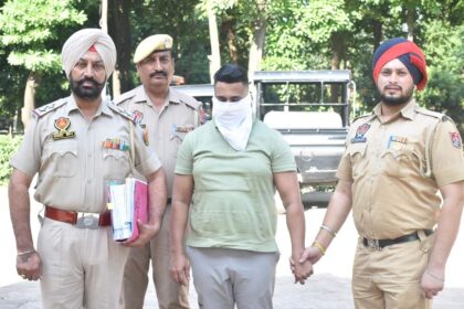Jalandhar News