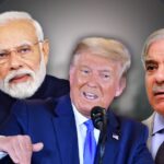 India and Pakistan agree to ceasefire