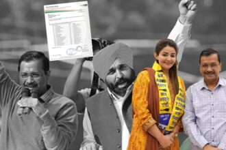 AAP releases list of star campaigners