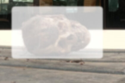 Human skull found near temple in Punjab