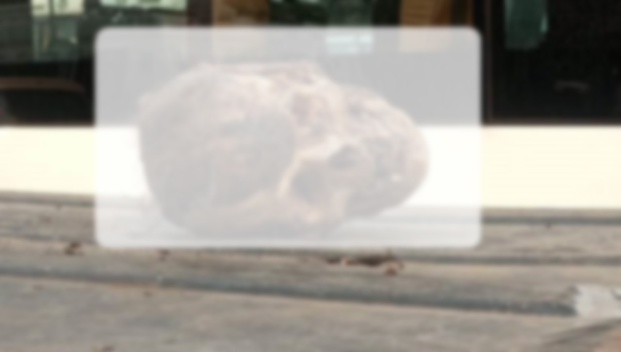Human skull found near temple in Punjab