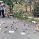 AAP leader's gunman fired bullets in Jalandhar