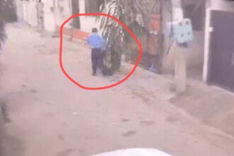 Mother-in-law and father-in-law killed their daughter-in-law