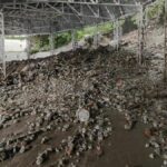Landslide on Mata Vaishnodevi Yatra route
